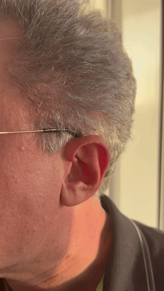Advanced Earbuds Protection System