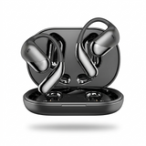 Lingo AI Earbuds